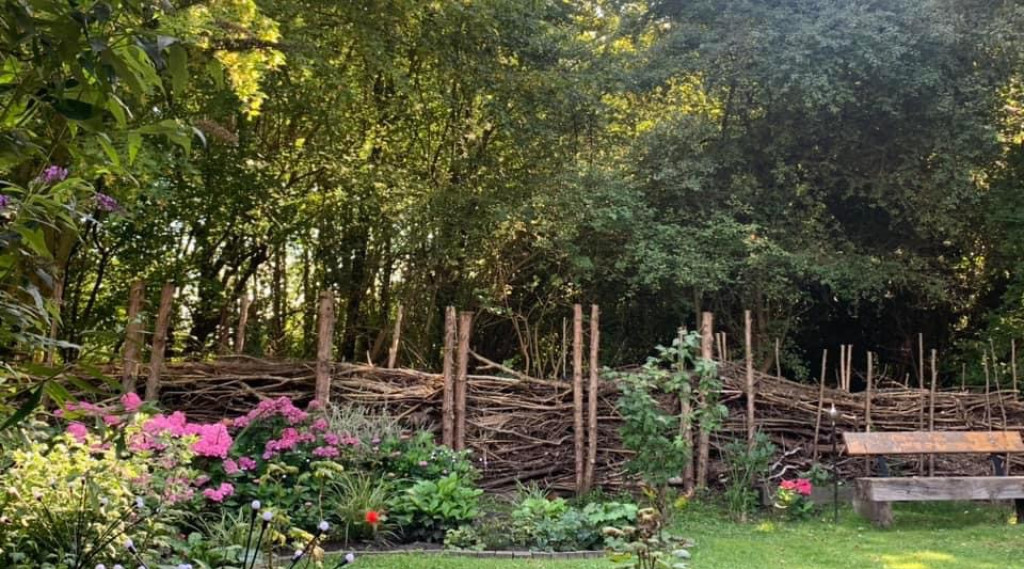 Afbeelding bij Creëer een takkenril voor biodiversiteit: tips en materiaal