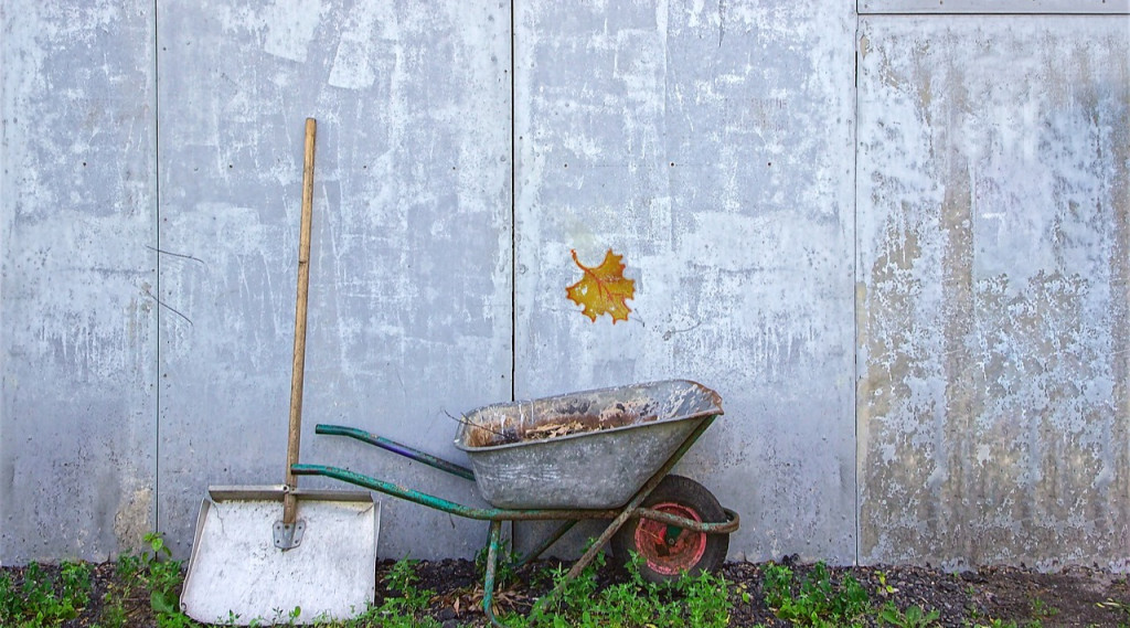 Afbeelding bij Waarom je tuin NIET winterklaar hoeft te maken een goed idee is.