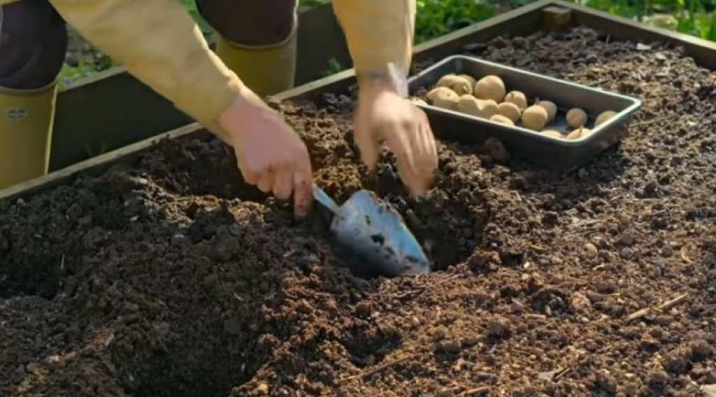 Afbeelding bij Gardeners World 2024 Aflevering 5 | Een bewijs van de transformerende kracht van tuinieren.