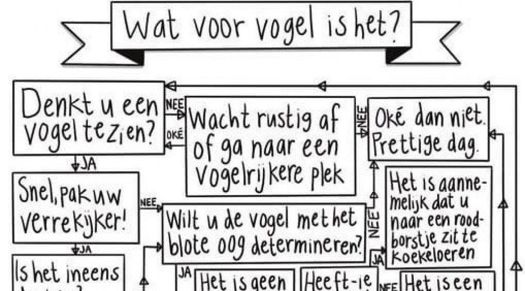 Afbeelding bij 27 - 28 - 29 januari 2023 tellen we de tuinvogels - herkenningstool snel en makkelijk alle (tuin)vogels