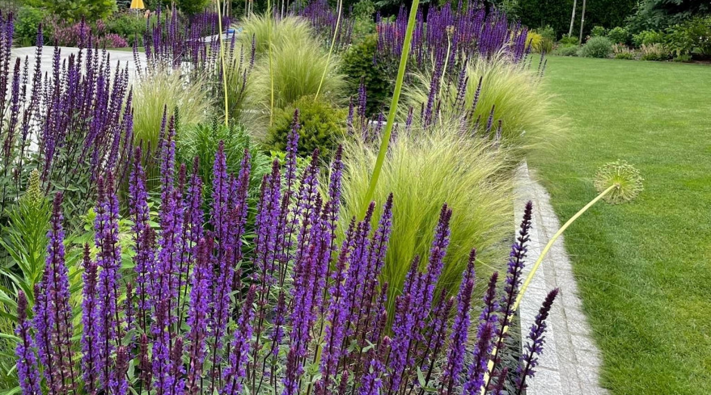 Afbeelding bij Opvallende plantencombinaties in de moderne tuin