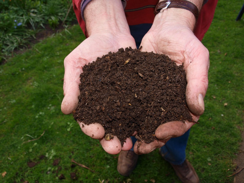 grondverbetering-najaar-mest-compost-dierlijke-meststoffen-paard-kip-geit-koe