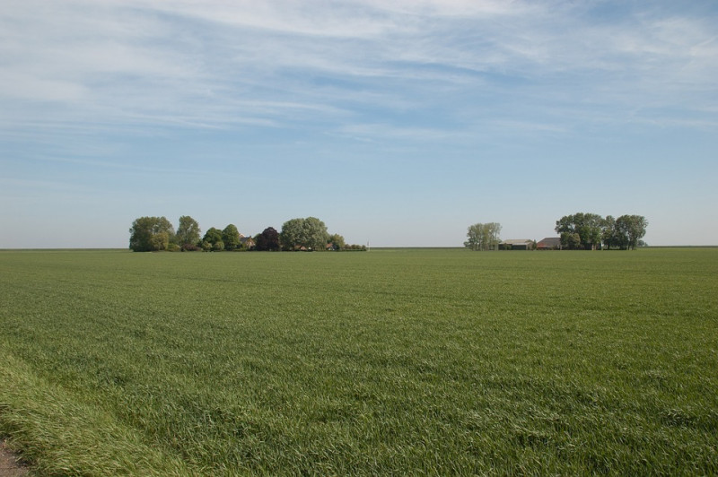 haagplanten-heggen-belangrijk-voor-biodiversiteit-ecosystemen