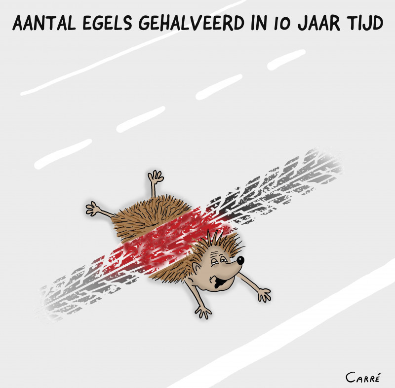 Egels-verkeersslachtoffer-hoeveel-doodgereden