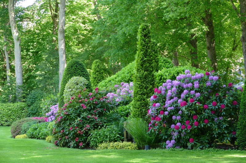 Schaduw-tuinvoorbeeld-border-met-verschillende-soorten-schaduwplanten-tuinideeen