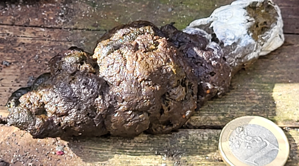 Afbeelding bij Uitwerpsel van welk dier?