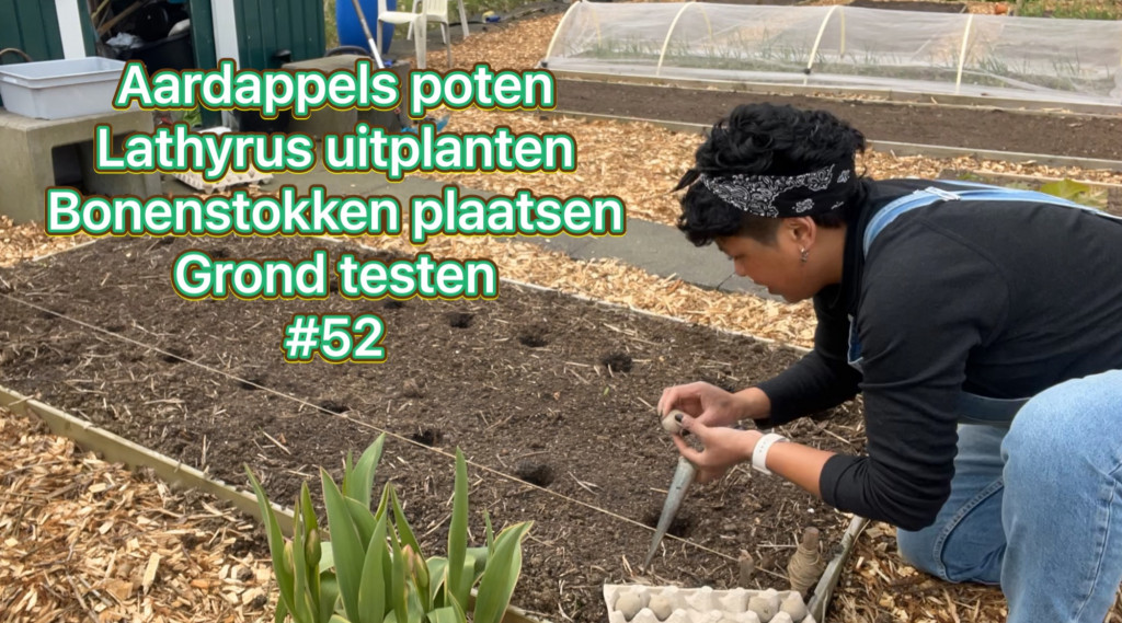 Afbeelding bij Mijn moestuin avontuur! Bekijk mijn vlog over aardappels poten, bonenstokken plaatsen, grond testen en meer….