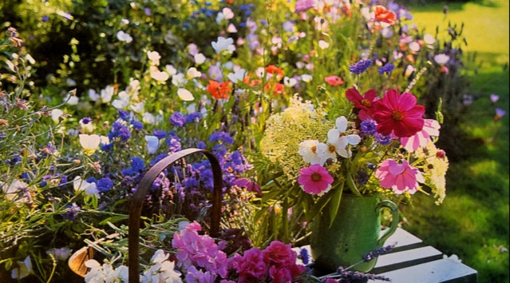 Afbeelding bij Deze 5 gewassen moet je kweken in 2023