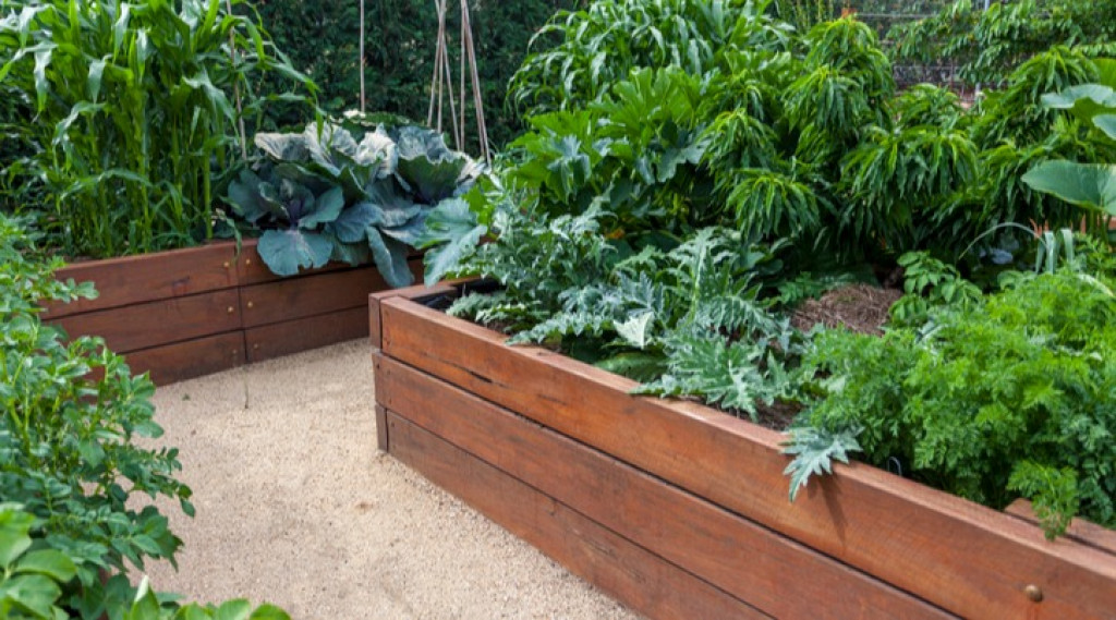 Afbeelding bij Deze 5 gewassen moet je kweken in 2023