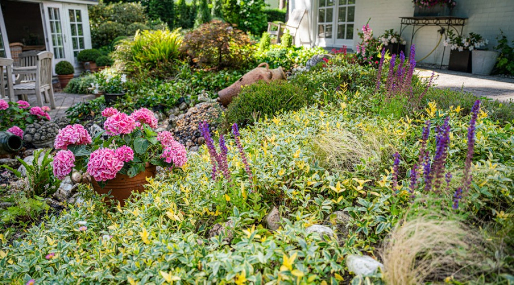 Afbeelding bij Een beplantingsplan maken? Zo doe je dat in 5 stappen