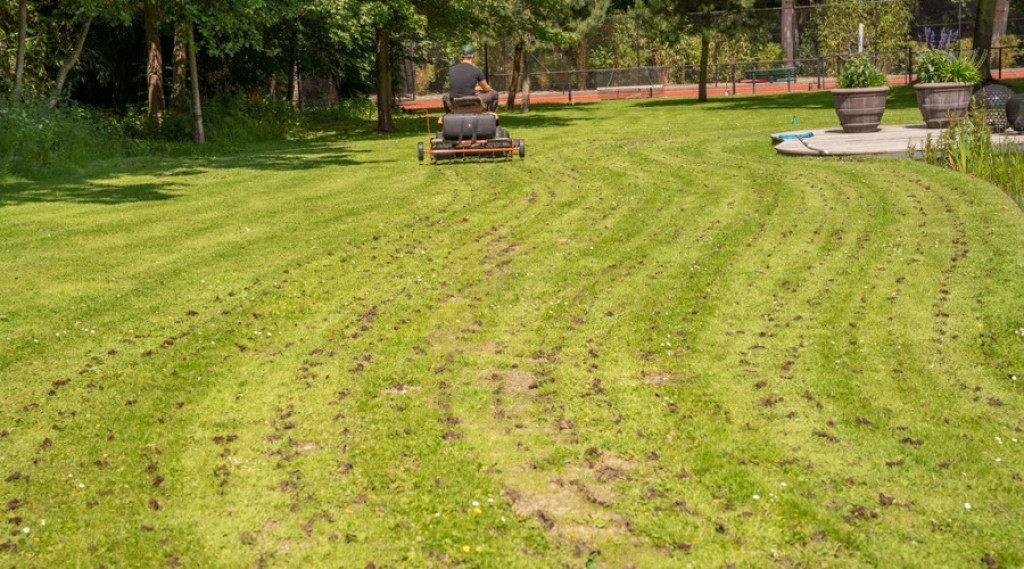 Afbeelding bij Waarom zou je het gazon beluchten?