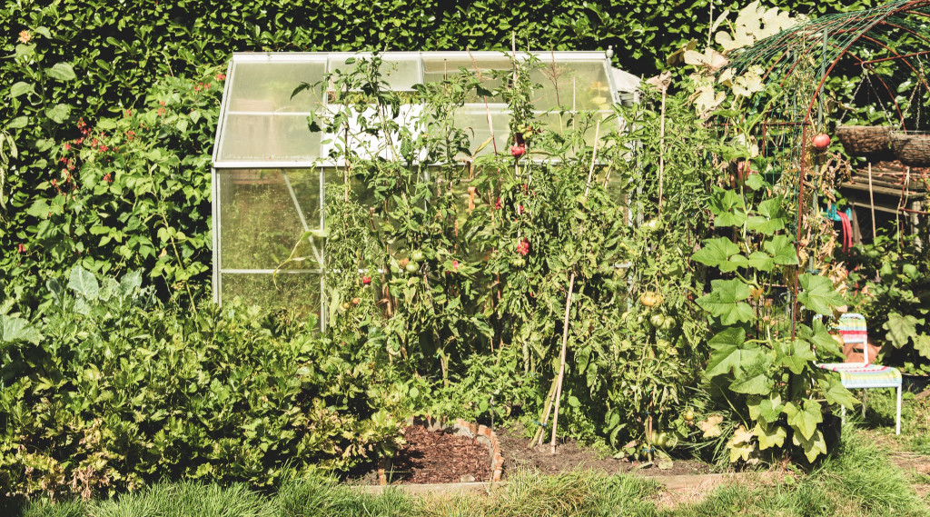 Afbeelding bij Een moestuin beginnen in maart