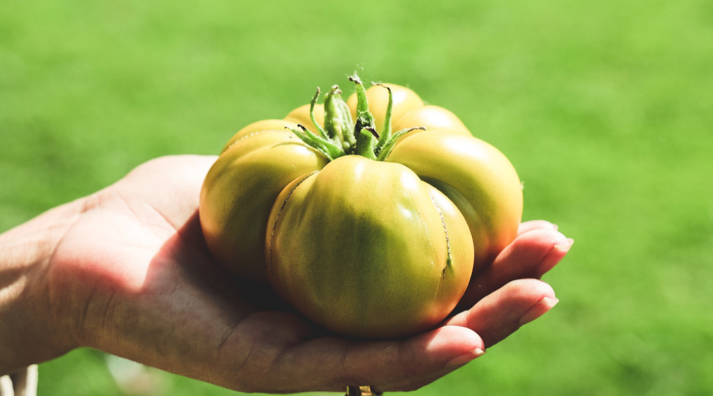 Afbeelding bij Heirloom tomaten, een wereld van verschil