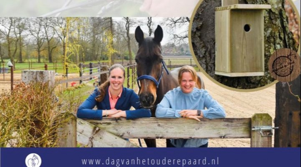 Afbeelding bij Vogelhuisjes van een jonge puber voor het oudere paard!