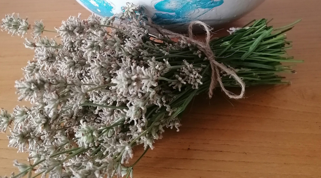 Afbeelding bij Zomersnoei Lavendel