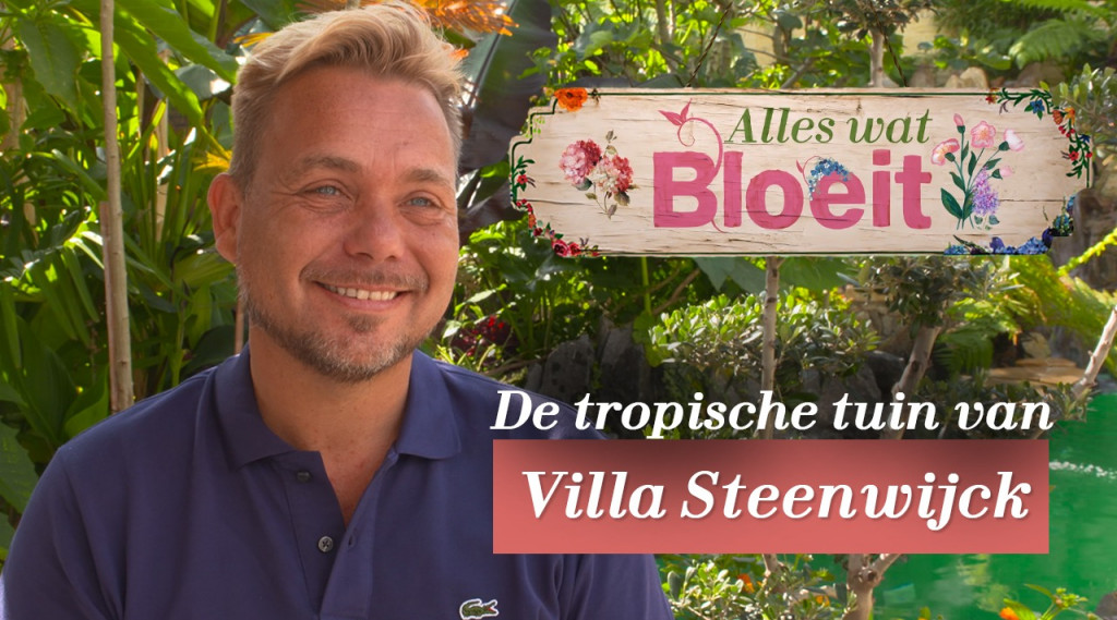 Afbeelding bij De tropische tuin van Villa Steenwyck