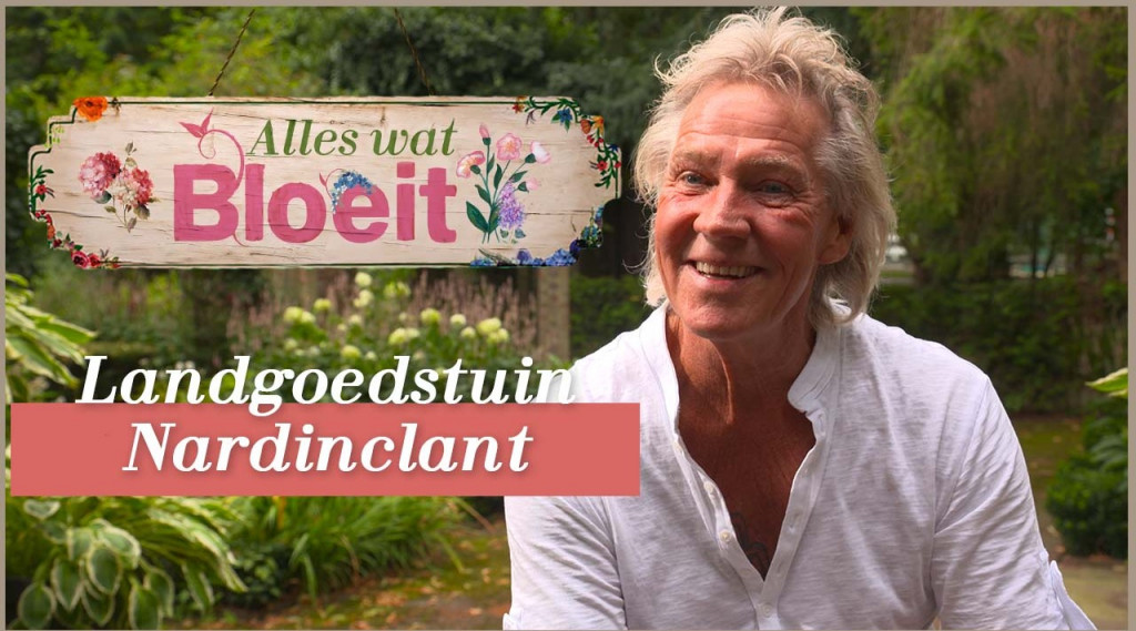 Afbeelding bij Landgoedtuin Nardinclant  - kijkje in de historische tuin
