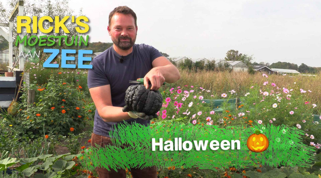 Afbeelding bij Halloween in de moestuin