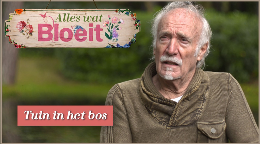 Afbeelding bij Tuin in het Bos
