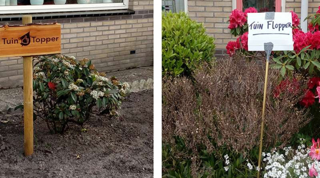 Afbeelding bij Tuinterreur van DOMESTA