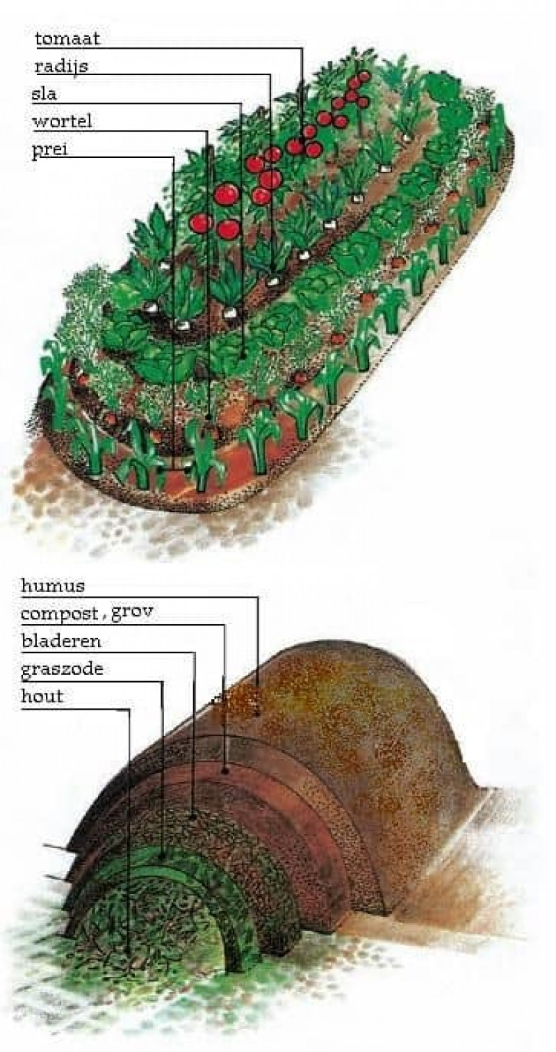 hugelcultuur-hugelbed-permacultuur-moestuin-manieren-natuurlijk-opbouw-van-groente-bedden-mulchmateriaal