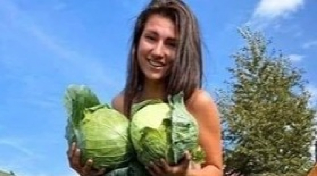 Afbeelding bij Hoe en wanneer oogst je rode en witte kool?