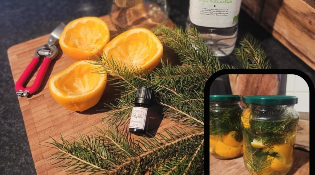 Afbeelding bij Recept voor eigengemaakte allesreiniger