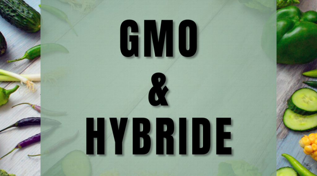Afbeelding bij GMO &amp; HYBRIDE ZADEN: WAT IS HET VERSCHIL EN WIL IK DIT IN MIJN TUIN?