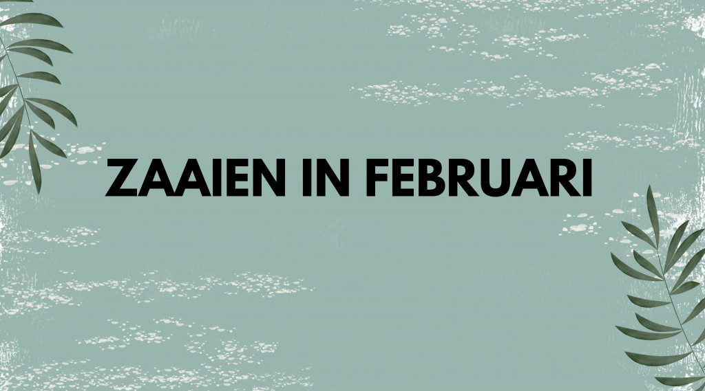 Afbeelding bij Zaaikalender voor februari