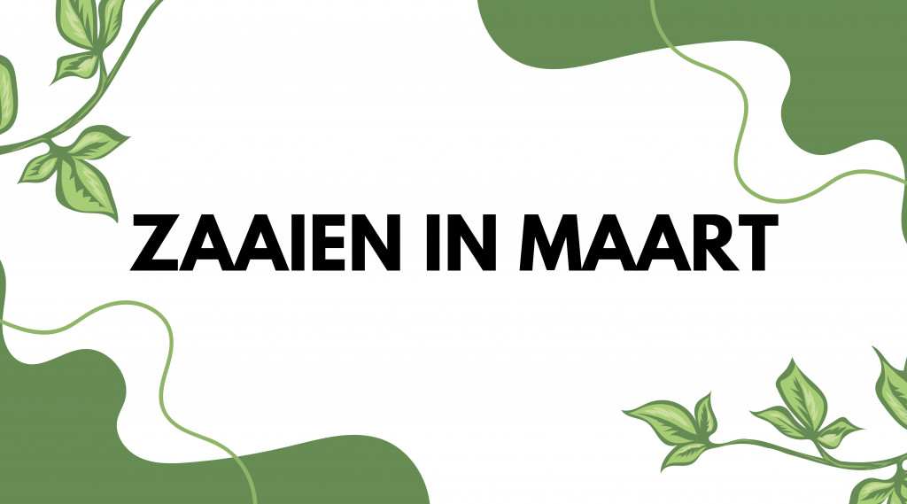 Afbeelding bij Zaaikalender voor maart