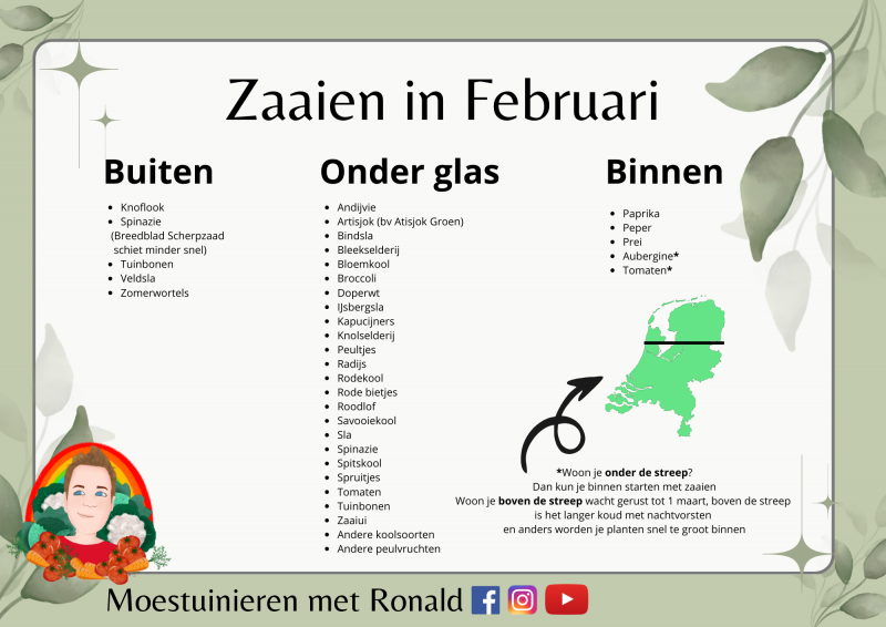 zaaikalender februari uitleg per gewas voor de moestuin in februari