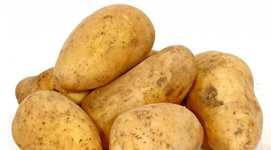 Afbeelding bij Hoe vroeg is vroeg | Biologische annabelle pootaardappelen.