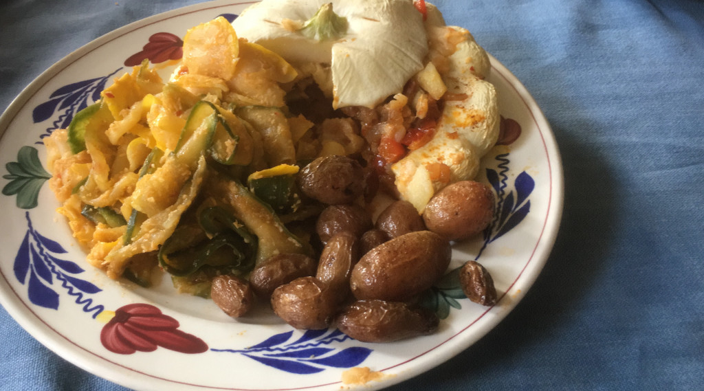 Afbeelding bij Patisson een nichtje van .........