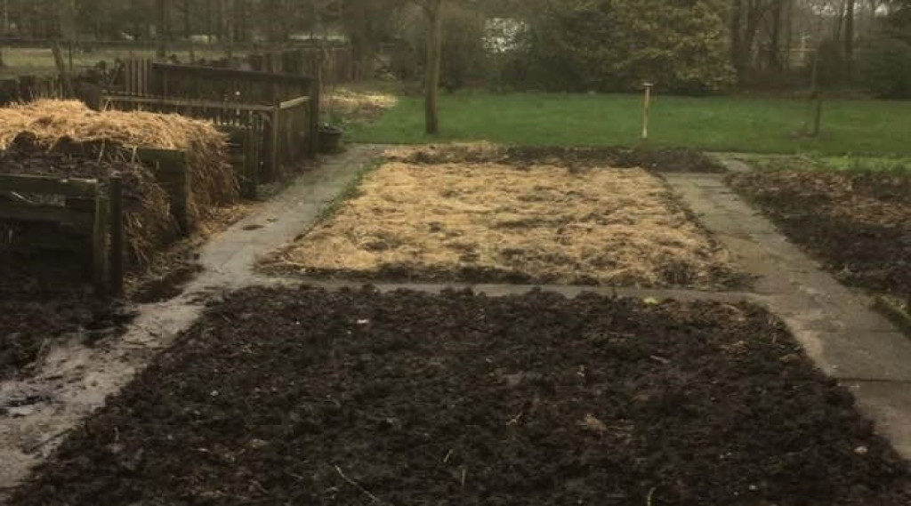 Afbeelding bij Je bodem, je basis