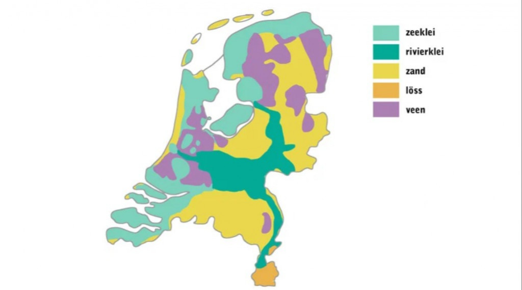 Afbeelding bij Je bodem, de basis, het fundament