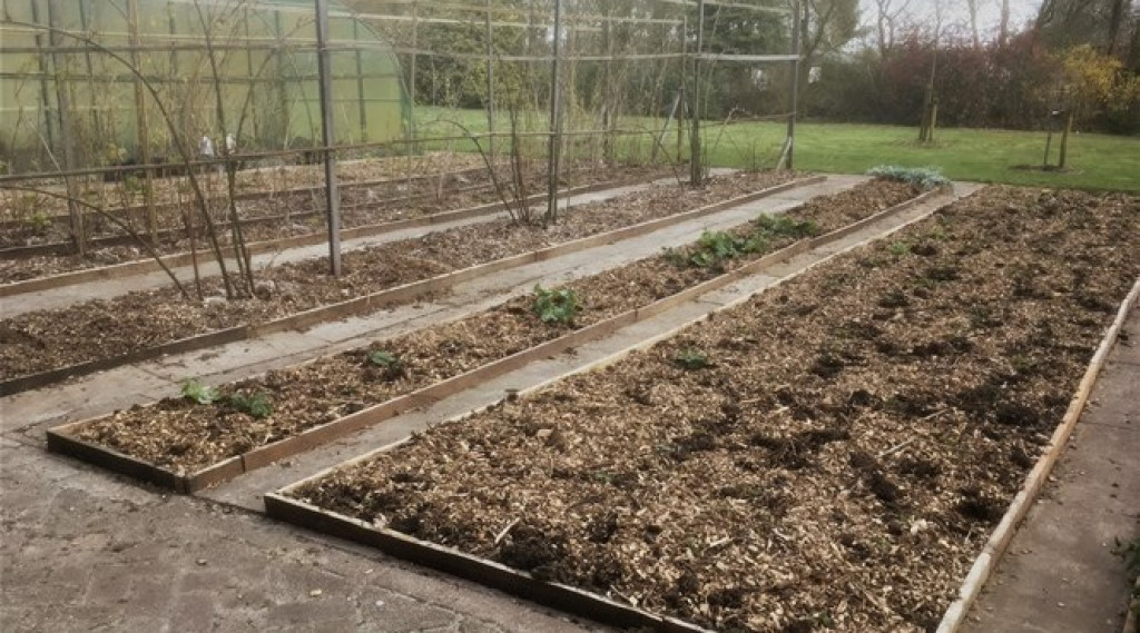 Afbeelding bij Fabels inzake houtsnippers als mulch