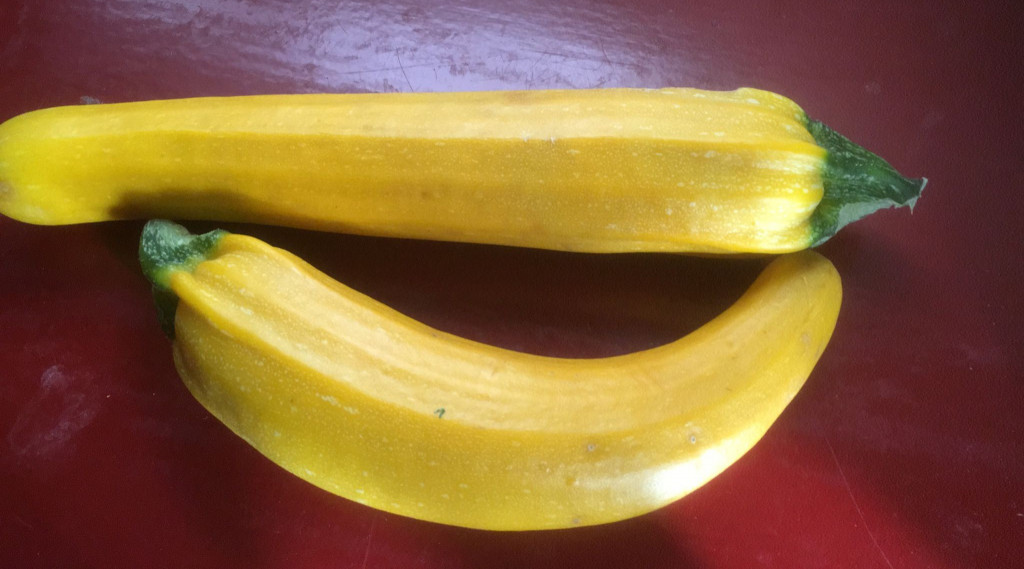 Afbeelding bij Variatie op de blokjes in de pastasaus of de soep.