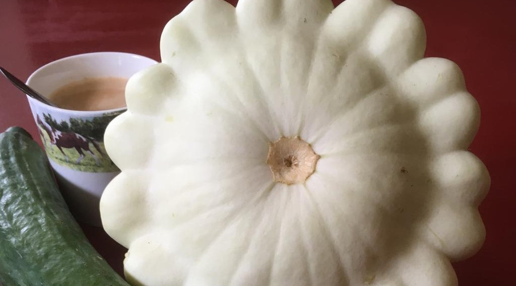 Afbeelding bij Patisson een nichtje van .........