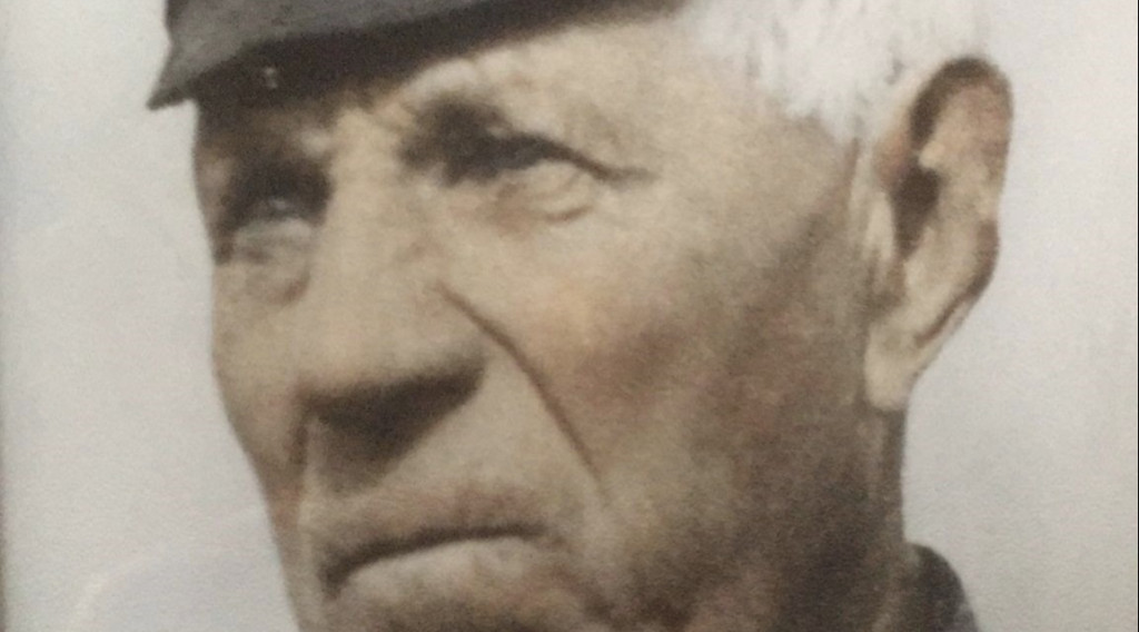 Afbeelding bij Erger u niet, verwonder u slechts.  Rendement op de moestuin?