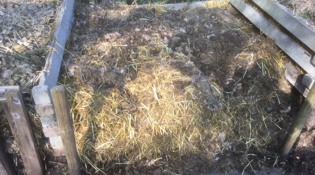 Afbeelding bij Je bodem, je basis