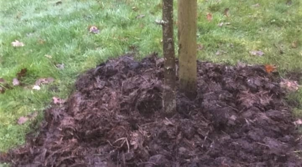 Afbeelding bij Je bodem, je basis