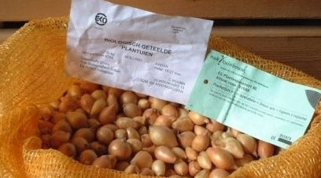 Afbeelding bij Eigen zaad-, pootgoed Ideologisch, uit principe, tegen GMO, F1 of ook een kostenplaatje