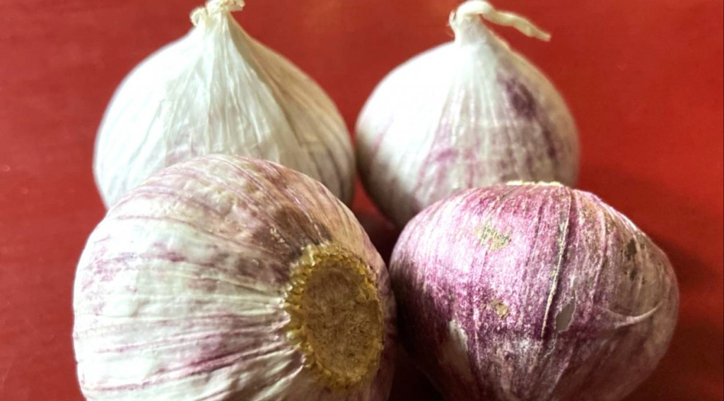 Afbeelding bij De solo-, bolknoflook