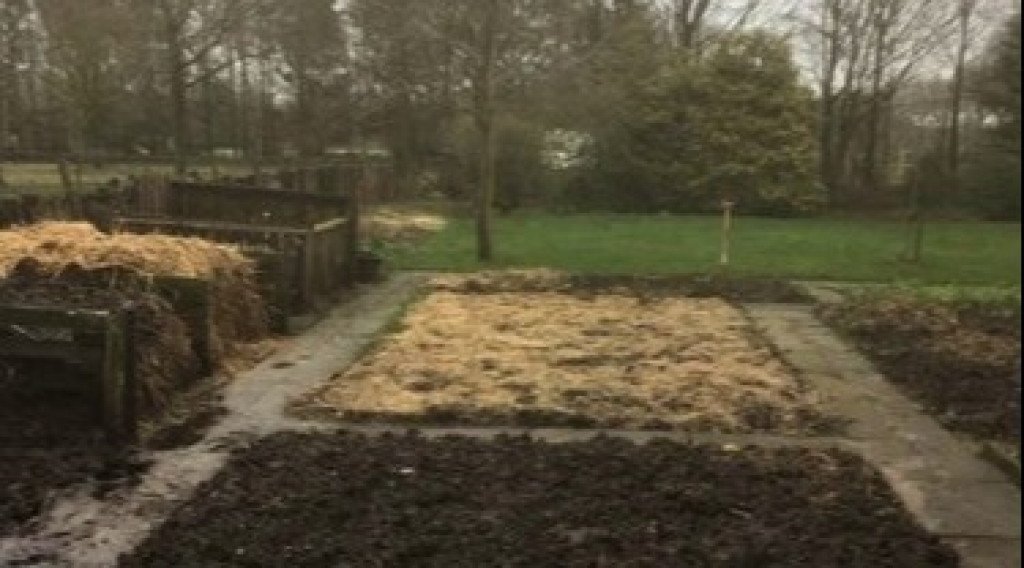 Afbeelding bij Waarom spit ik niet meer?