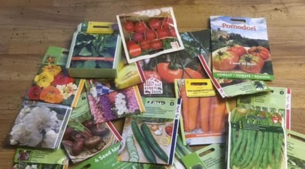 Afbeelding bij Zaad voor je tuin een gemeengoed? Of straks nog slechts een paar varianten te koop?