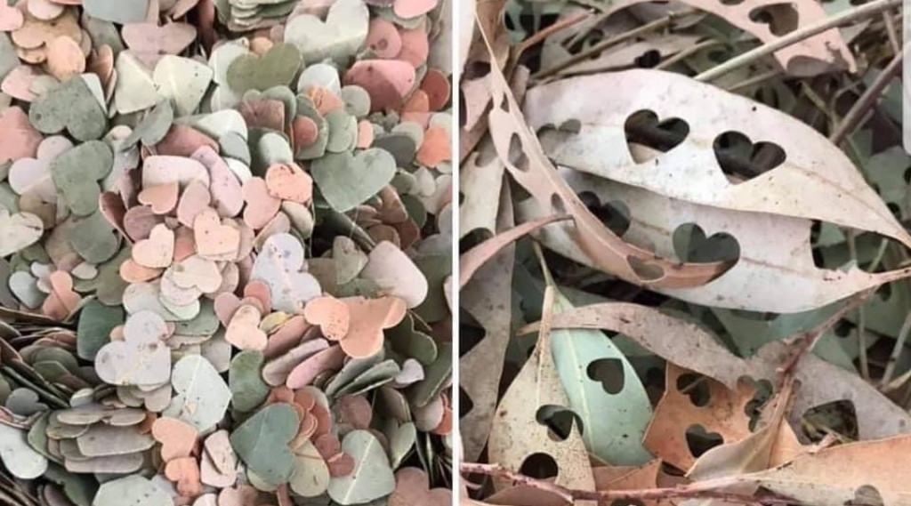 Afbeelding bij Confetti van bladeren maken