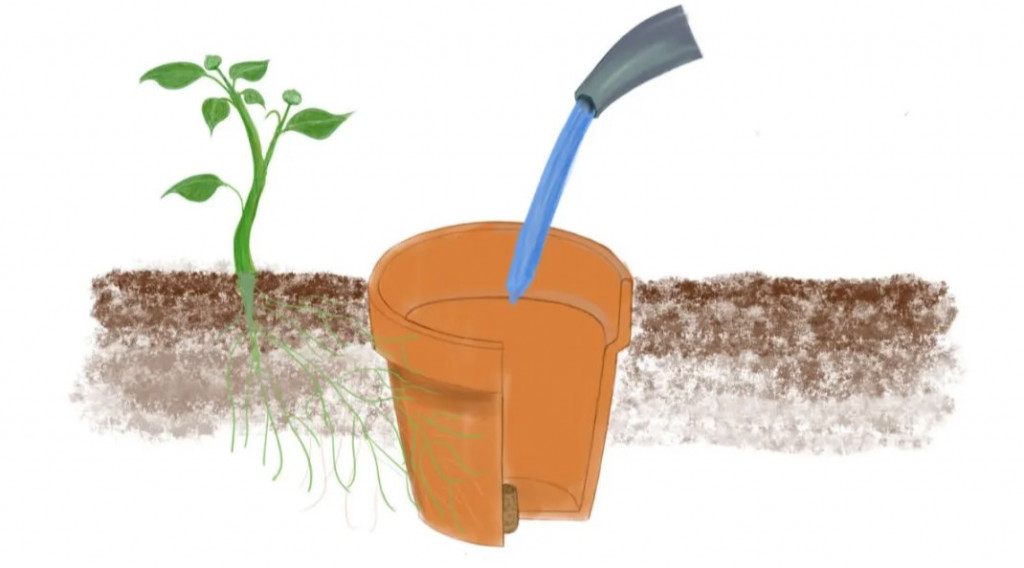 Afbeelding bij Planten in de tuin water geven