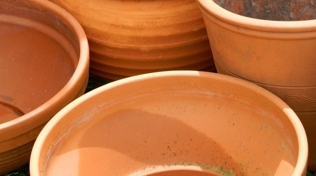 Afbeelding bij Help de Hommelkoningin aan een Hommelnest in eigen tuin (Zo doe je dat)